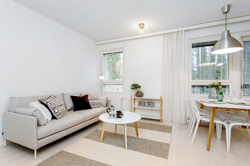 heinakuja1B5 Olohuone6