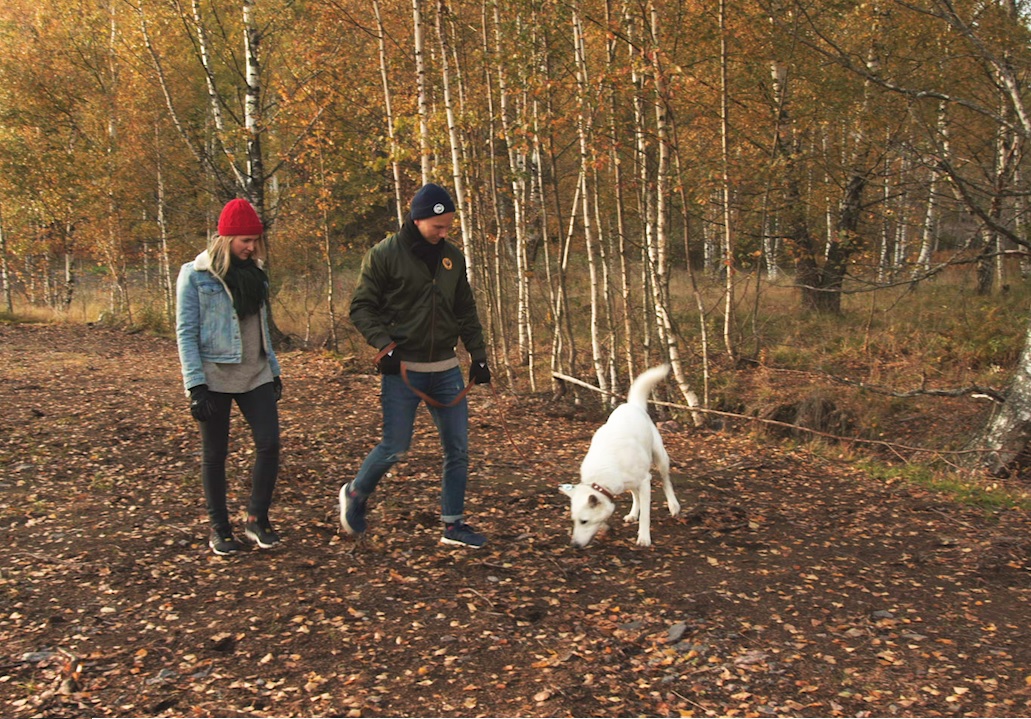 Luonto ja rauhallisuus ovat Suurpellon valtteja