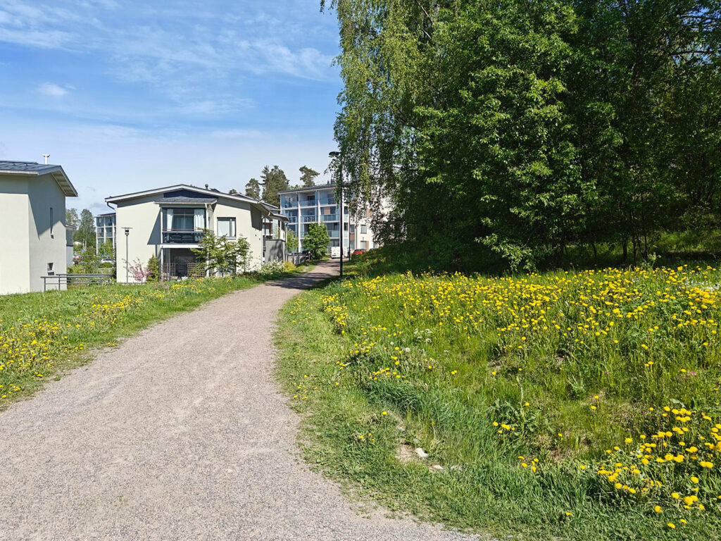 Aluekuva Kaivokselasta.