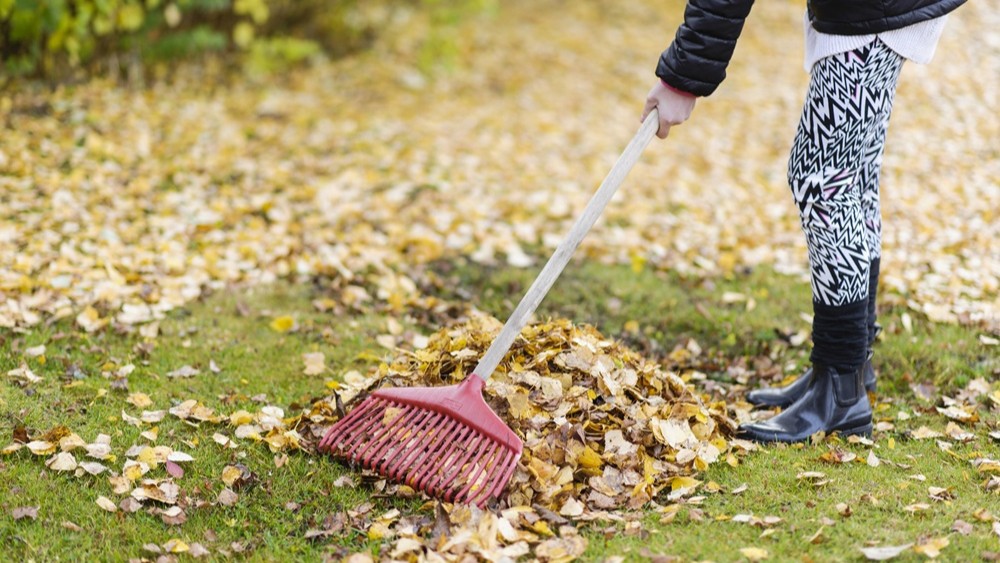 Näin laitat asuntopihan ja parvekkeen syyskuntoon – ja koristelet ne tunnelmallisiksi!